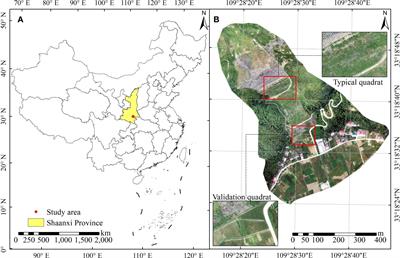 Extraction and monitoring of vegetation coverage based on uncrewed aerial vehicle visible image in a post gold mining area